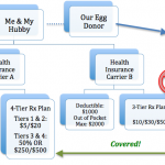 Navigating Our Insurance Options